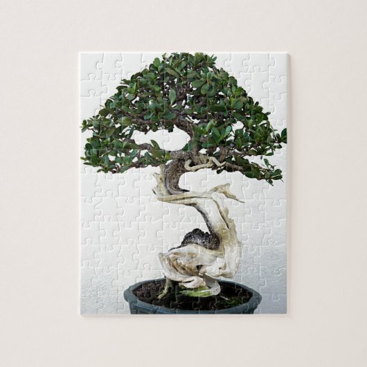 Buttonwood Bonsai Tree Legpuzzel (Verticaal)