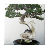 Buttonwood Bonsai Tree Tegeltje (Voorkant)