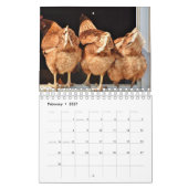 Butts Kalender (Feb 2027)