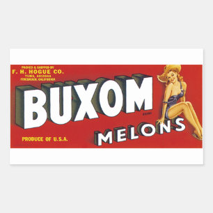Buxom Mellons Rechthoekige Sticker