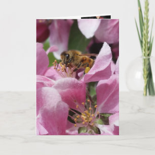 Buzy Bee Verlate verjaardag of locatie Kaart