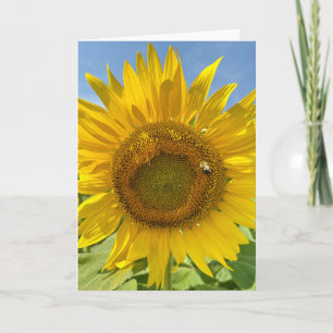 BuZy Bee & Zonnebloem Foto Blank Wenskaart Kaart