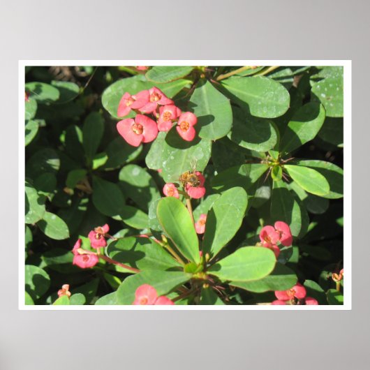 Buzz uit! Poster (Voorkant)