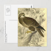 Buzzard :  Carte postale vintage Jardine (Devant / Derrière)