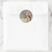 Buzzard Ronde Sticker (Tas)