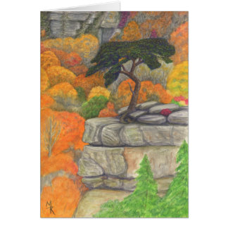 Buzzard Roost - Herfst Creek Herfst State Park