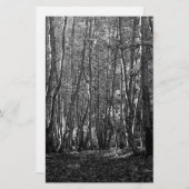 BW-bomen Briefpapier (Voorkant / Achterkant)