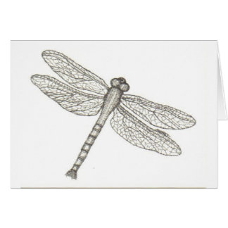 bw_dragonfly05 001