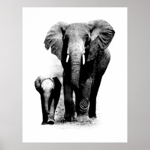 BW Elefant & Baby Elephant Poster