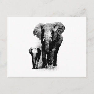 BW Elephant & Baby Elephant Briefkaart