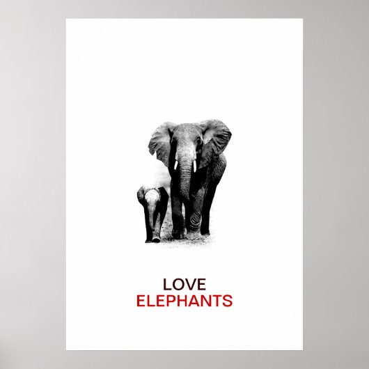 BW Elephant & Baby Elephant Poster (Devant)