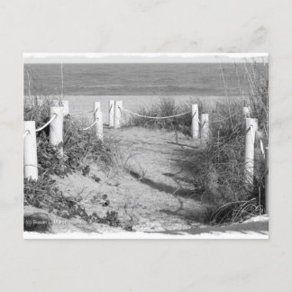 BW Fort Pierce, strandwandeling van Florida, afgeb Briefkaart