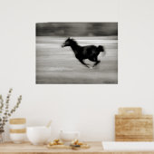 BW Galloping Horse Poster (Keuken)