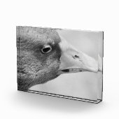 BW Goose Fotoblokken (Rechts)