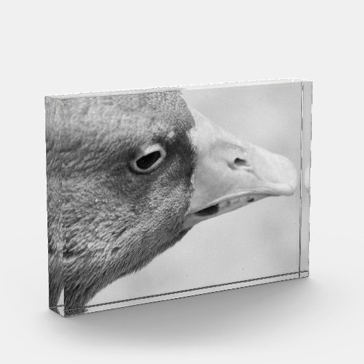 BW Goose Fotoblokken (Links)