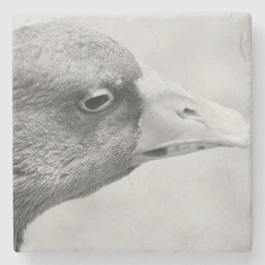 BW Goose Stenen Onderzetter (Voorkant)