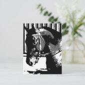 BW hengstenpaard Briefkaart (Staand voorkant)