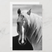 BW Horse Portret Briefpapier (Voorkant / Achterkant)