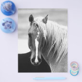 BW Horse Portret Flyer (Enkel)