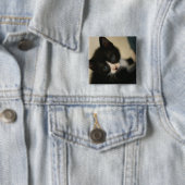 BW Kitten Button (In situ)