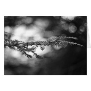 BW Pinecone-kaart