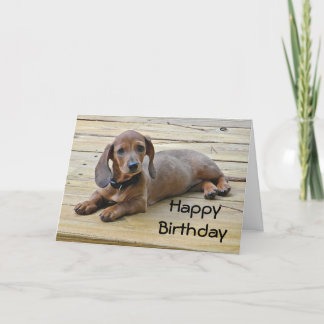 BW- Teckel Puppy Verjaardag Kaart