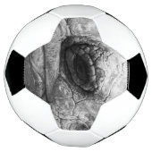 BW Tortoise (Tourné)