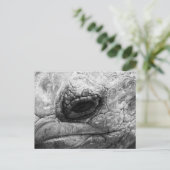 BW Tortoise Briefkaart (Staand voorkant)