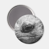 BW Tortoise Magneet (Voorkant / Achterkant)