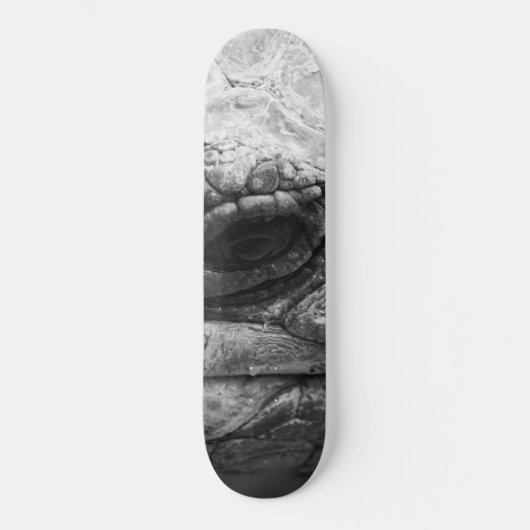 BW Tortoise Skateboard (Voorkant)