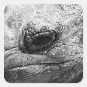 BW Tortoise Vierkante Sticker
