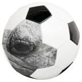 BW Tortoise Voetbal (Drie kwart)