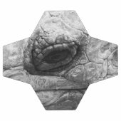 BW Tortoise Voetbal (Enkel)