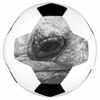 BW Tortoise Voetbal