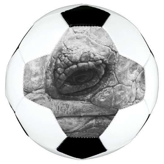 BW Tortoise Voetbal (Voorkant)