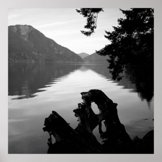 bw uitzicht 1 poster (Voorkant)