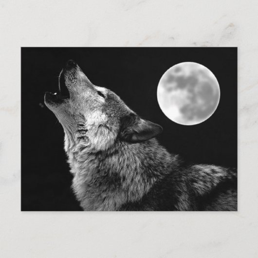 BW Wolf Howling bij Moon Briefkaart (Voorkant)