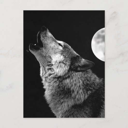 BW Wolf Howling bij Moon Briefkaart (Voorkant)