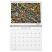 BWCA Namekagon Calendar Kalender (Feb 2027)