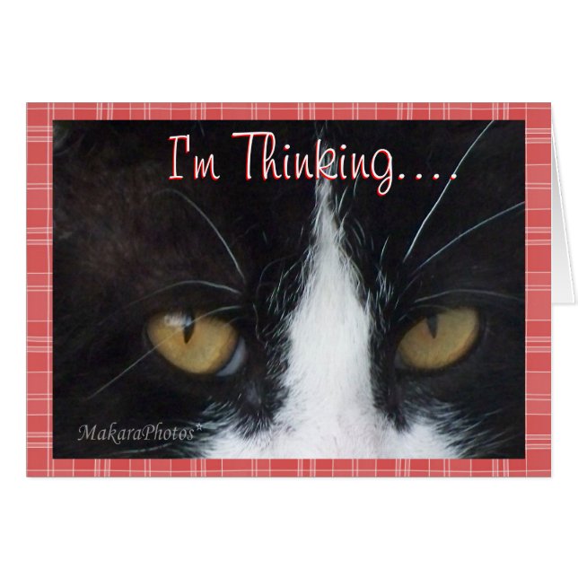 BWTinhaken......aanpassen (Voorkant Horizontaal)