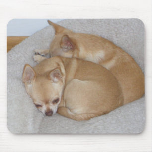 BY- Cute Chihuahua Puppy Dogs Mousepad Muismat