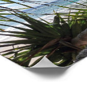 Byron Bay Afbeelding Poster (Hoek)