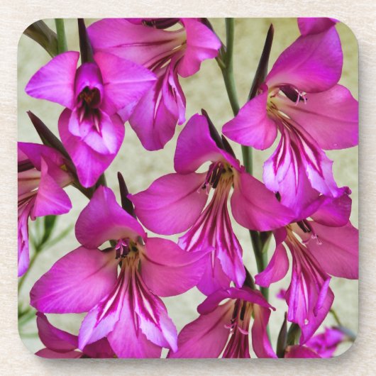 Byzantijnse Gladiolus Bier Onderzetter (Voorkant)