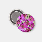 Byzantijnse Gladiolus Magneet (Voorkant / Achterkant)