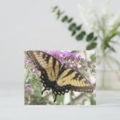 BZ - Carte postale Papillon Swallowtail (Debout devant)