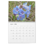 C12 Wildbloemen van de Alberta Prairies Kalender (Mar 2026)