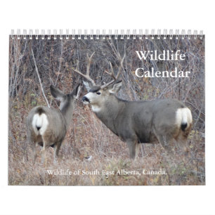 C13 Wilde Dieren Kalender
