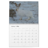C13 Wildkalender Kalender (Jan 2026)