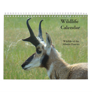 C14 Wildkalender Kalender