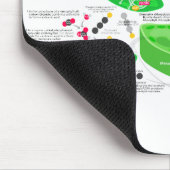 C4 Fotosynthesediagram Muismat (Hoek)